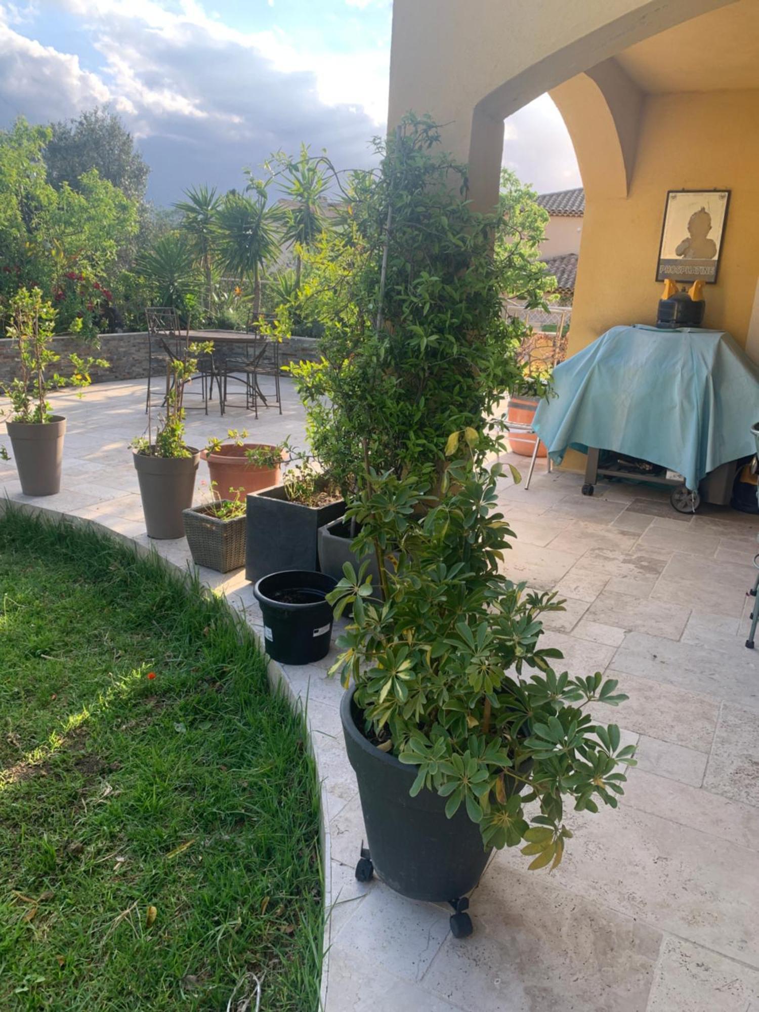 Chambres De La Terre Blanche ซานารี-ซูร์-แมร์ ภายนอก รูปภาพ
